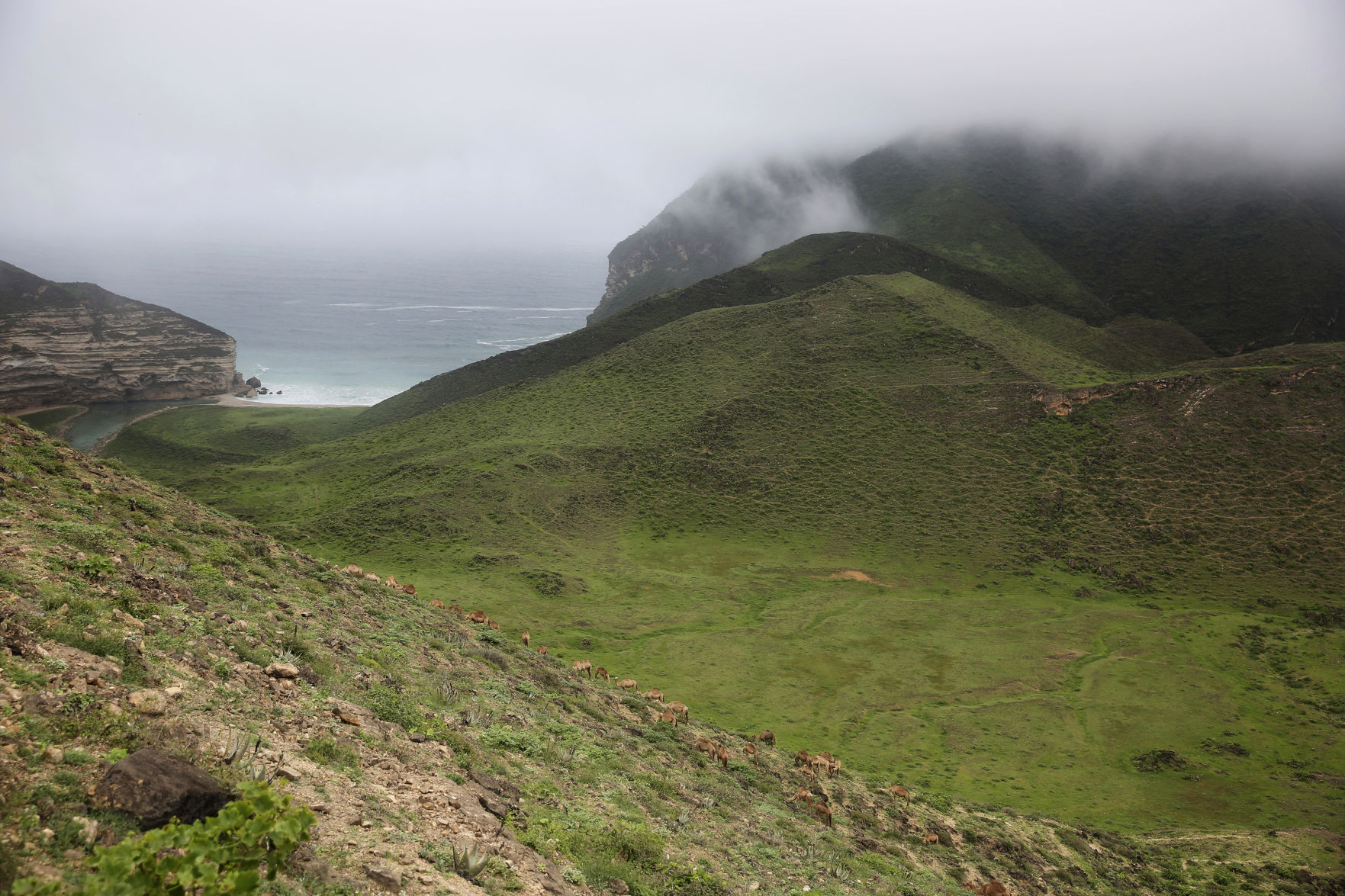 Travel Oman Monsoon